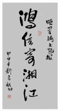 鷨